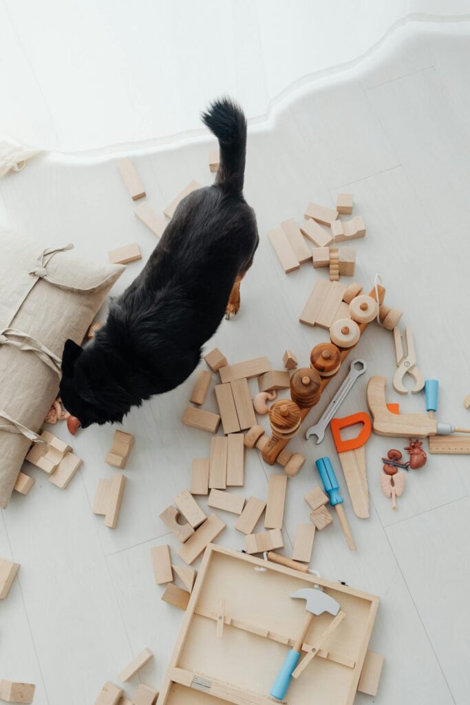 safe pet toys safe pet toys